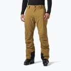 Vyriškos slidinėjimo kelnės Helly Hansen Legendary Insulated lynx