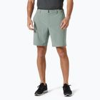 Vyriški buriavimo šortai Helly Hansen Hp Sirocco 9" grey cactus