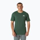 Vyriški marškinėliai Helly Hansen Nord Graphic jungle green