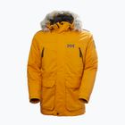 Vyriška žieminė striukė Helly Hansen Reine Parka mustard