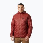 Vyriška hibridinė striukė Helly Hansen Lifaloft Hooded Insulator mars red