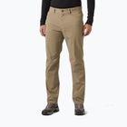 Vyriškos žygio kelnės Helly Hansen Holmen 5 Pocket pebble