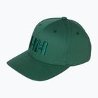 Kepurė su snapeliu Helly Hansen Brand opal green