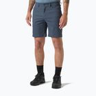 Vyriški žygio šortai Helly Hansen Holmen 5 Pocket alpine frost