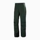 Vyriškos slidinėjimo kelnės Helly Hansen Legendary Insulated dark jungle