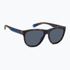 Akiniai nuo saulės Polaroid PLD 2156/S matte brown havana/blue polarized