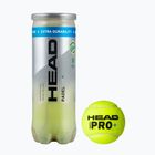 Padelio kamuoliukai HEAD Padel Pro+ 3 vnt. yellow