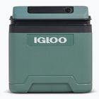 Šaldytuvas Igloo IE24 ACDC 24 and spruce