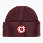 Žieminė kepurė Fjällräven 1960 Logo Hat port