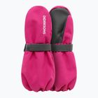 Vaikiškos slidinėjimo pirštinės Didriksons Biggles Mitten 8 cactus pink