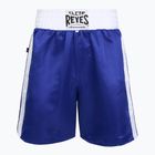 Vyriški bokso šortai Cleto Reyes Satin Boxing blue/white