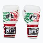 Bokso pirštinės Cleto Reyes Velcro Sparring red/white green red