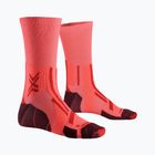 Vyriškos kojinės X-Socks Trailrun Perform Crew fluo red/namib red