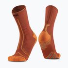 Kojinės X-Socks Trailrun Terraskin Expert Crew burnt red/orange