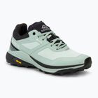 Moteriški turistiniai batai Dolomite Nibelia GTX mint green