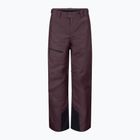 Vyriškos slidinėjimo kelnės SCOTT Ultimate Dryo 10 cocoa red
