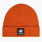 Žieminė kepurė Mammut Fedoz Beanie autumn larice