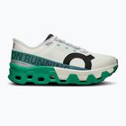 Vyriški bėgimo batai On Running Cloudmonster Hyper undye/mint