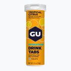 Izotoninis gėrimas GU Hydration Drink 12 tab. tropinis/citrusiniai
