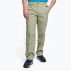 Vyriškos alpinistinės kelnės The North Face Routeset beige NF0A5J7Y3X31