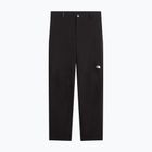 Vyriškos softshell kelnės The North Face Softshell Regular Fit tnf black
