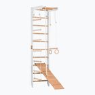 Gimnastikos kopėčios RINAGYM SPR B+SLIDE