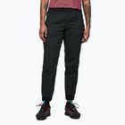 Moteriškos kelnės Black Diamonds Technician Jogger black