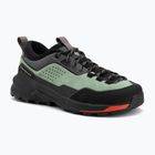 Moteriški priėjimo prie trasų batai Black Diamond Technican Pro Approach desert sage/black