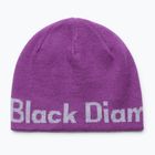 Žieminė kepurė Black Diamond Reversible Beanie piton purple/alloy