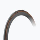 Dviračio padanga Pirelli P Zero Race TLR Classic black/brown