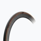 Dviračio padanga Pirelli P Zero Race Classic black/brown