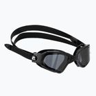 Plaukimo akiniai Cressi Clear Eyes black/black