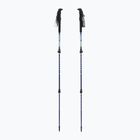 Žygio lazdos lazdos GABEL Mont Blanc 4.0 mint