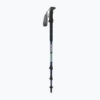 Žygio lazdos lazdos GABEL Mont Blanc 4.0 mint