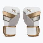 Bokso pirštinės Hayabusa T3 white/gold