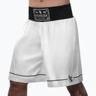 Treniruočių šortai Hayabusa Pro Boxing white