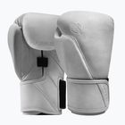 Bokso pirštinės Hayabusa T360 Leather white
