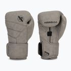 Bokso pirštinės Hayabusa T3 LX slate