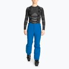 Vyriškos slidinėjimo kelnės CMP 3W17397N zaffiro