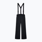 Vyriškos slidinėjimo kelnės EA7 Emporio Armani Pure Softshell black