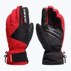 Slidinėjimo pirštinės Dainese Sport racing red/stretch limo