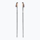 Žygio lazdos  Fizan Compact Tech 4 beige