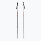 Žygio lazdos Fizan Explorer beige/red