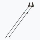 Šiaurietiško ėjimo lazdos Fizan Carbon Pro Impulse grey