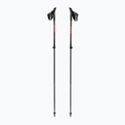 Šiaurietiško ėjimo lazdos Fizan R-Evolution Pro red