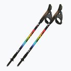 Šiaurietiško ėjimo lazdos Fizan Speed Junior rainbow