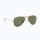 Vaikiški saulės akiniai Ray-Ban Aviator arista gold/dark green