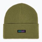 Žieminė kepurė Oakley B1B Gradient Patch Beanie fern