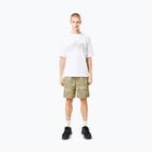 Vyriški marškinėliai Oakley Wired Mtn Scape Tee white