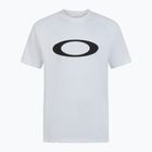 Vyriški plaukimo marškinėliai Oakley Rashguard white